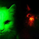 Image for article titled Glow-in-the-Dark Cats Could Make For a Unique Home Lighting Solution